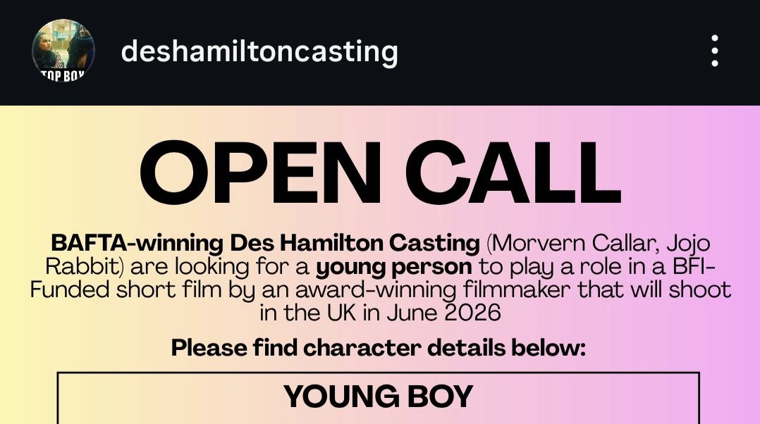 Open Call From Des Hamilton Casting